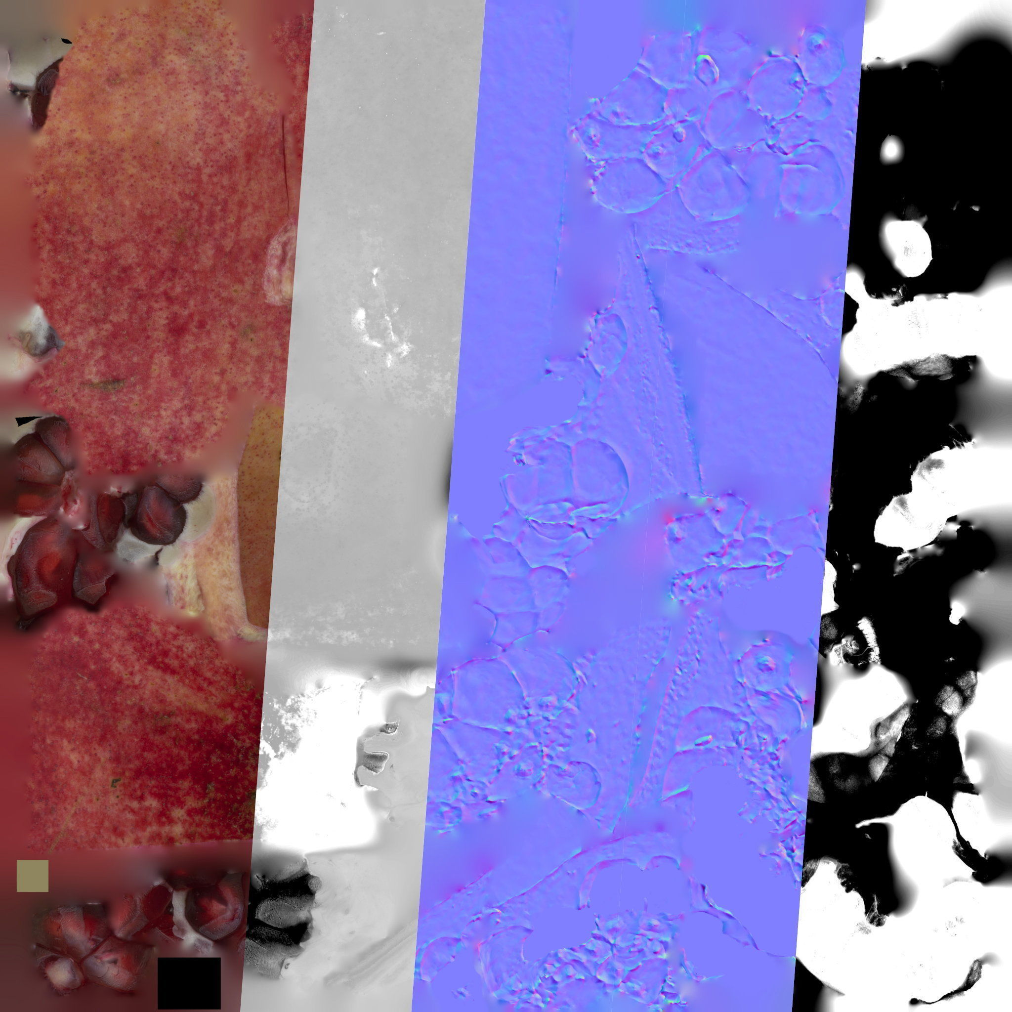 4k scanned Pomegranate 02 3D model_24