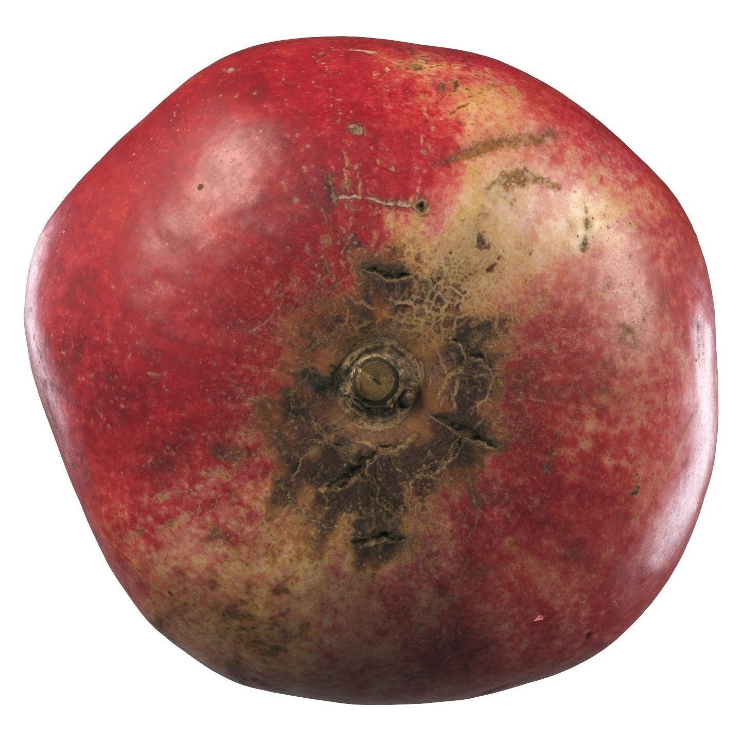 4k scanned Pomegranate 02 3D model_11
