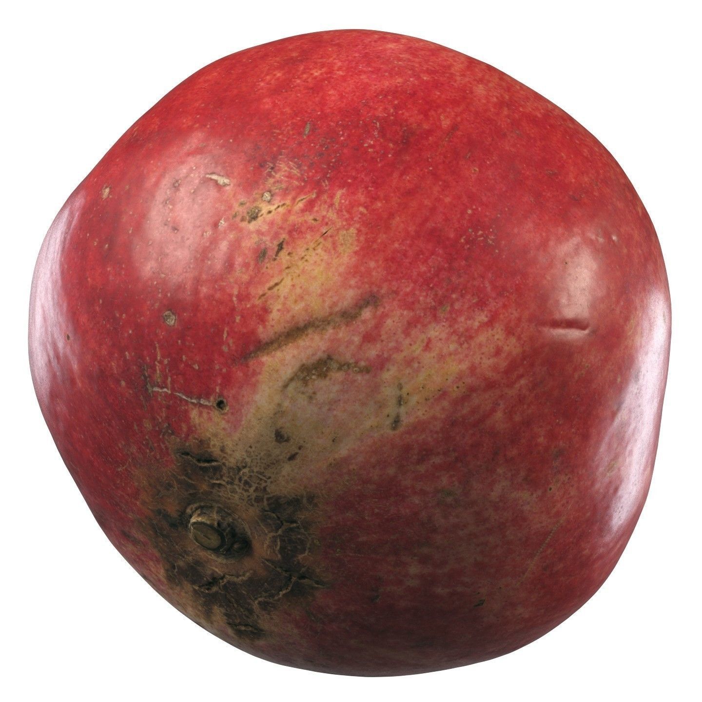 4k scanned Pomegranate 02 3D model_7