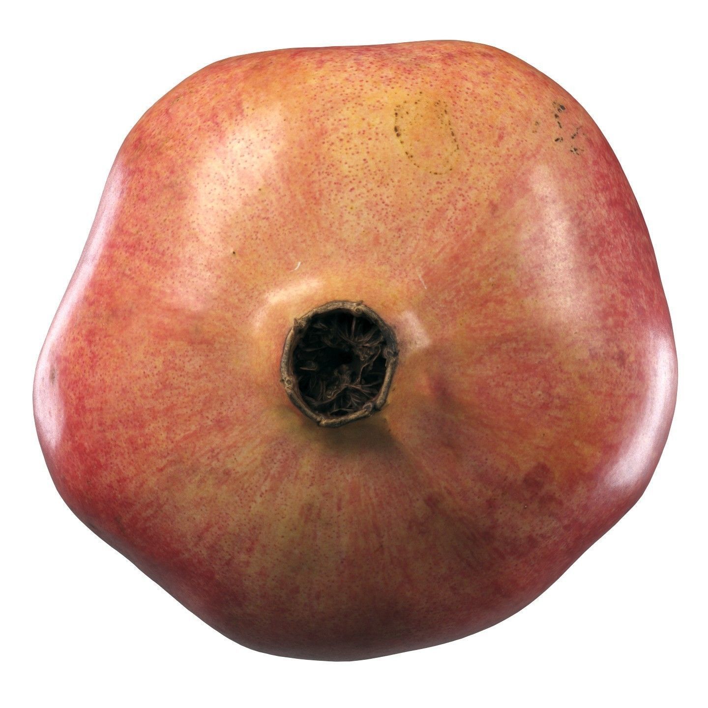 4k scanned Pomegranate 02 3D model_12
