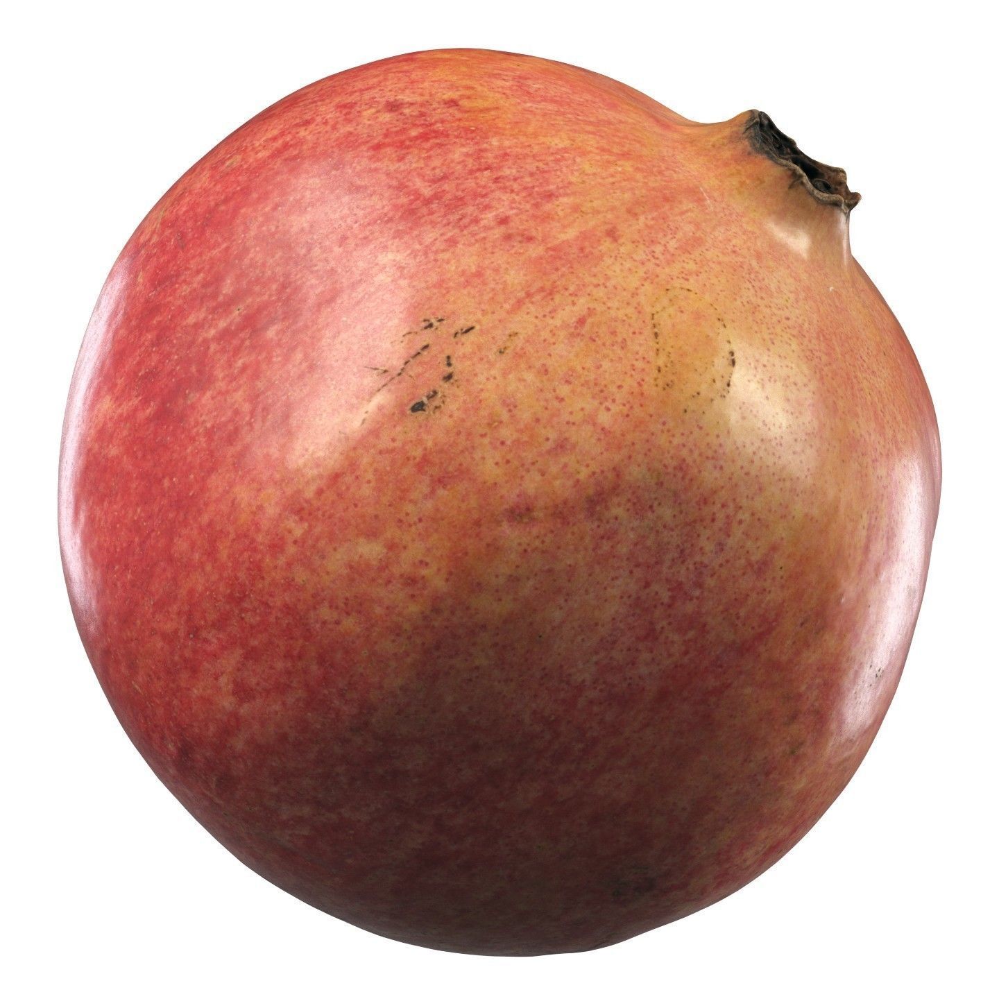 4k scanned Pomegranate 02 3D model_10