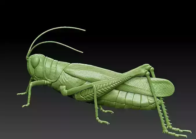 Grasshopper 3D print model