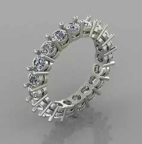 Eternity Ring 3d print model