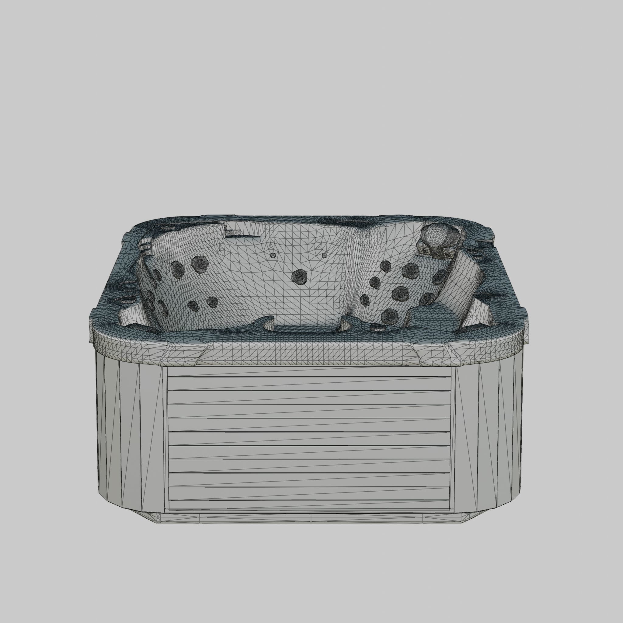 3D model of Hot Tub Jacuzzi D1 Spas Executive Low-poly 3D model_6