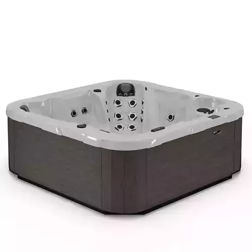3D model of Hot Tub Jacuzzi D1 Spas Chairman Low-poly 3D model