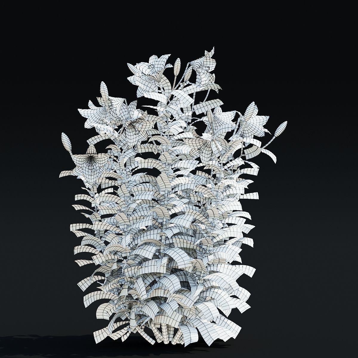 Lily flower 5 colors 3D model_14