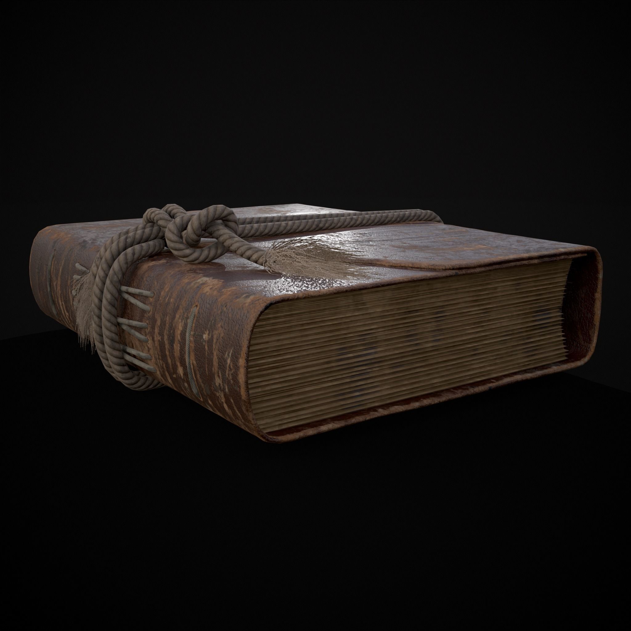 Rope Tied Leather Bound Book Low-poly 3D model_3