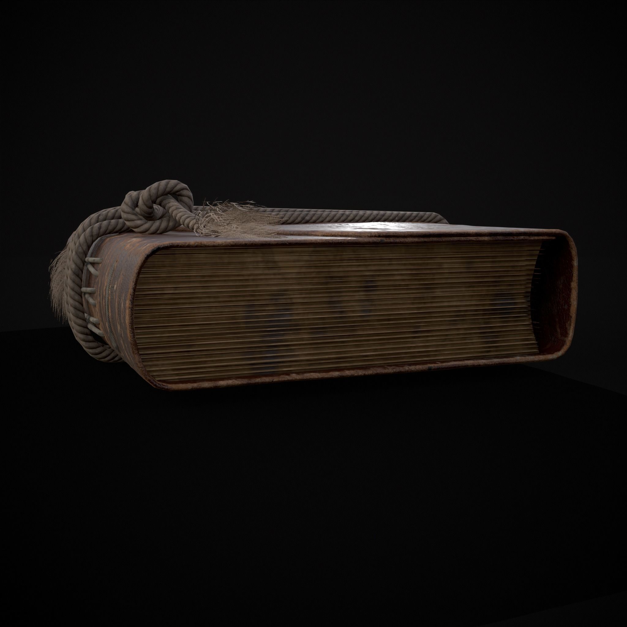 Rope Tied Leather Bound Book Low-poly 3D model_19