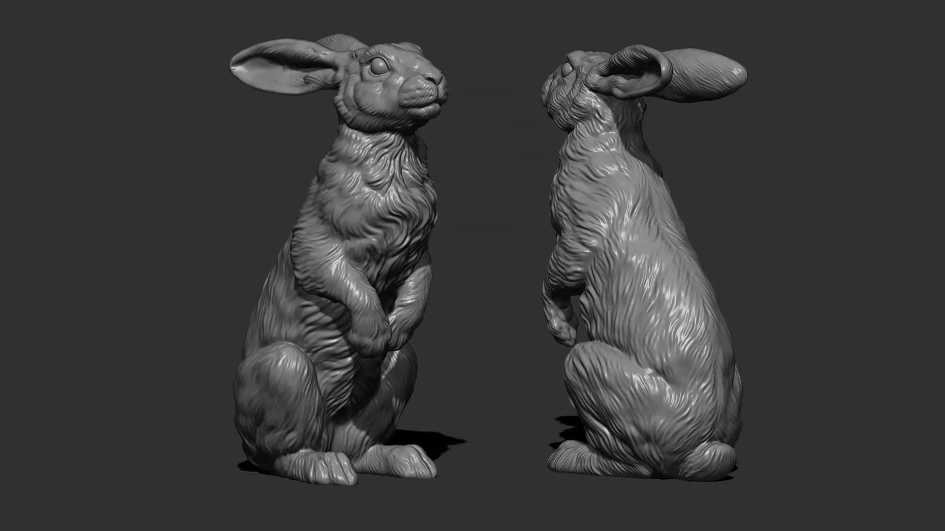 Hare sitting 3D print model