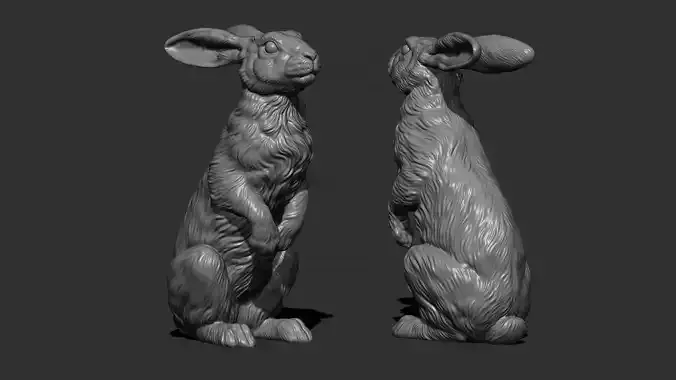 Hare sitting  3D print model