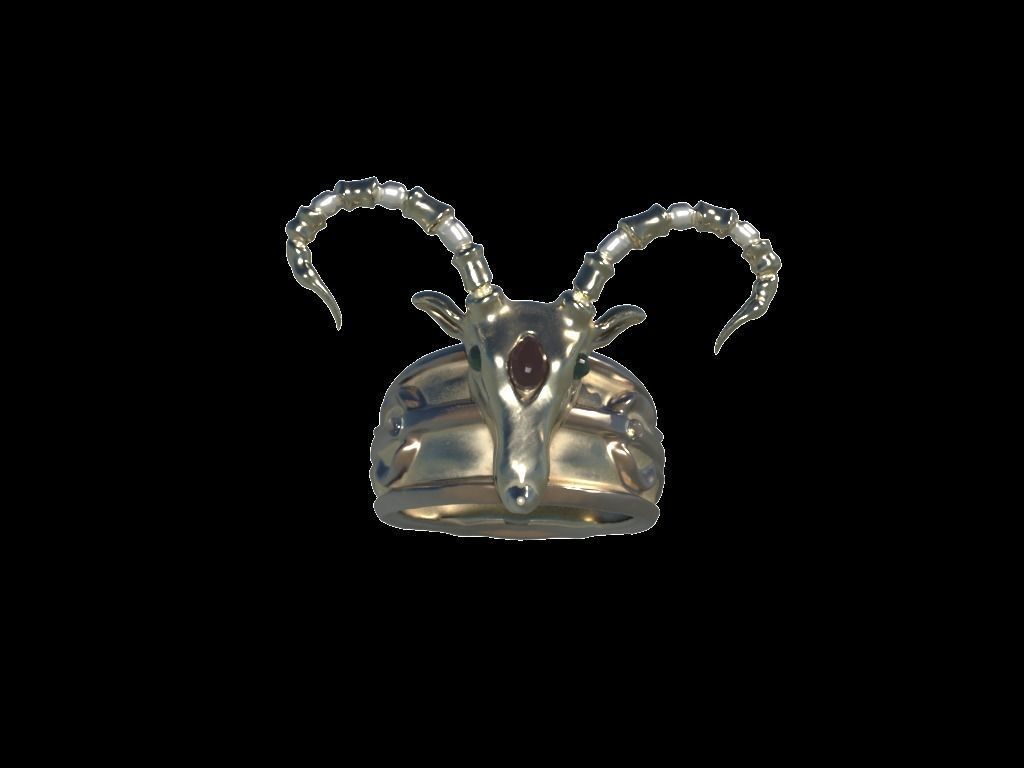 golden ring 3D model_3