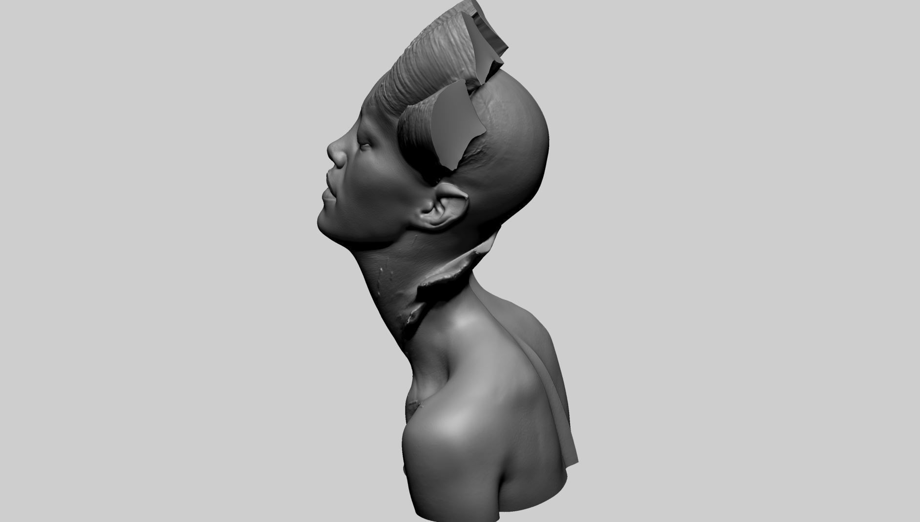 Fantasy Female Bust E 3D print model_5