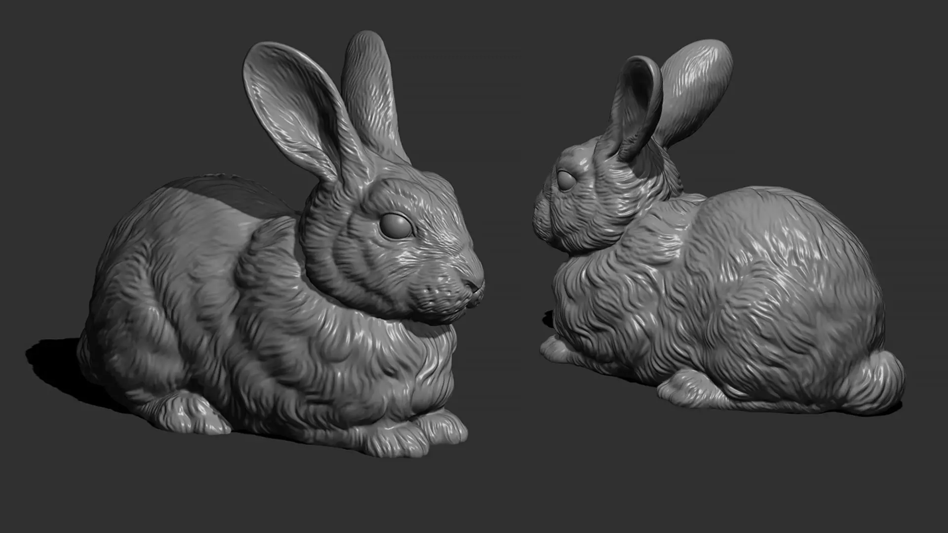 Rabbit golden 3D print model