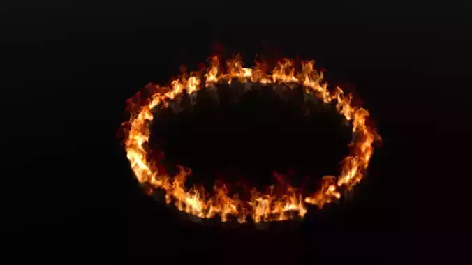 Fire ring circle VDB 300 frame 10 sec 3D model