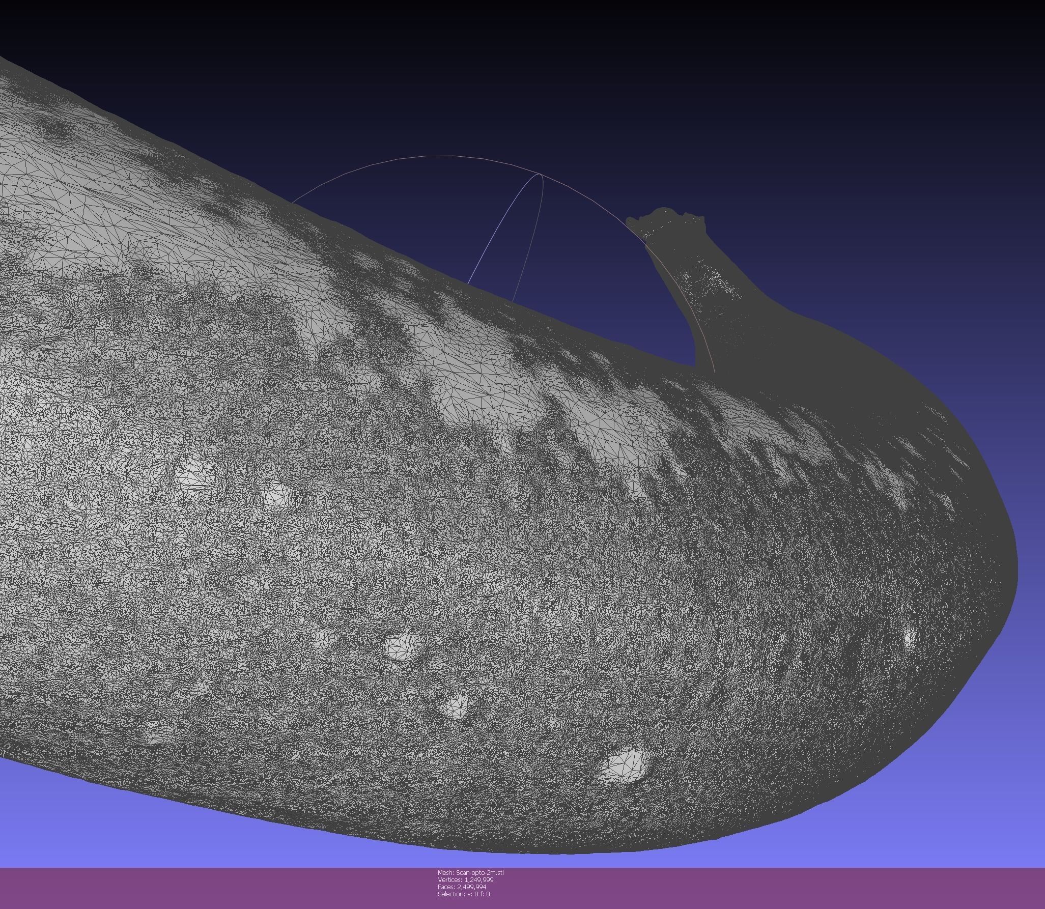 banana high resolution scanned ultra realistic Free 3D model_3