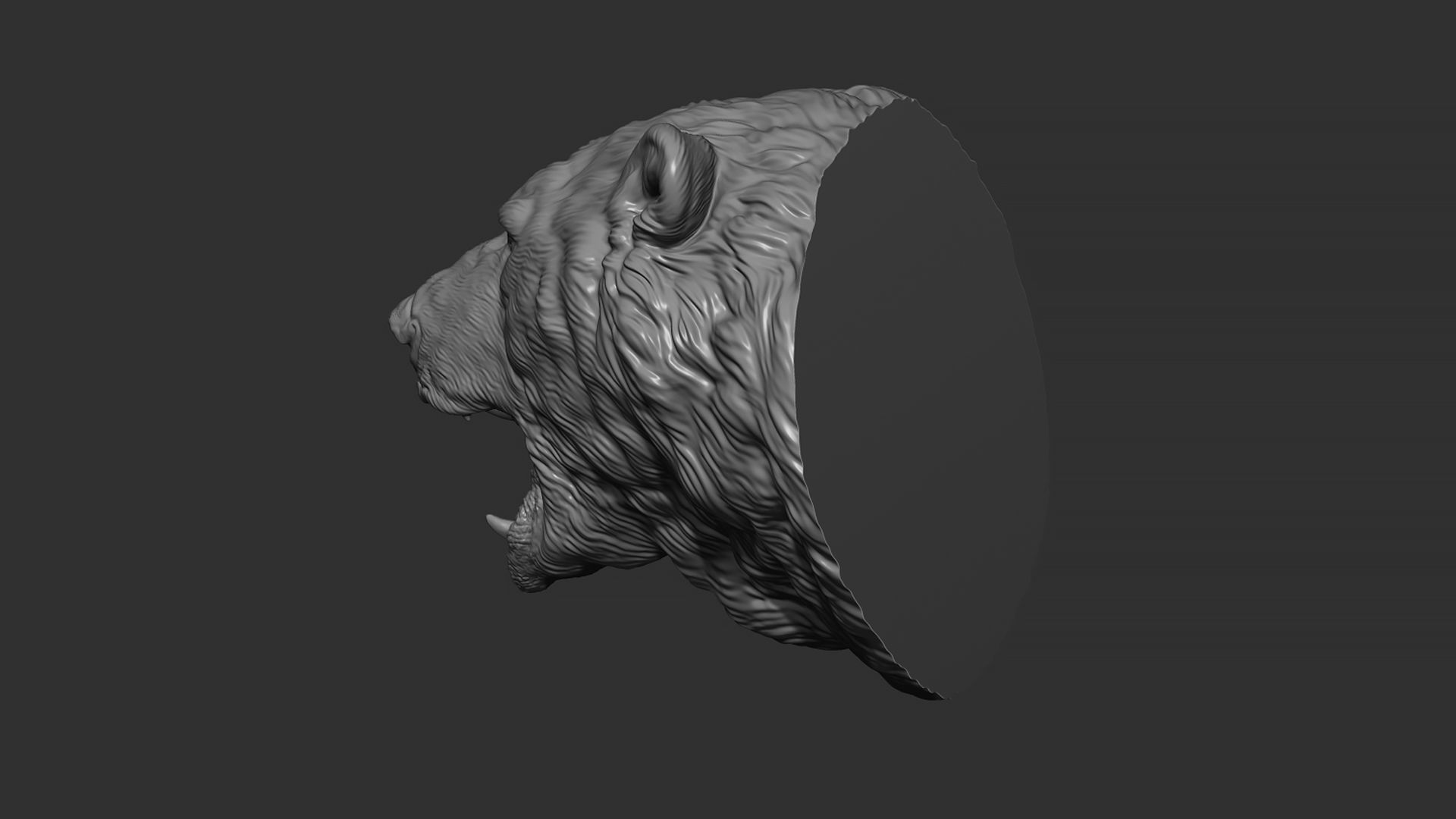 Polar bear growls 3D print model_5