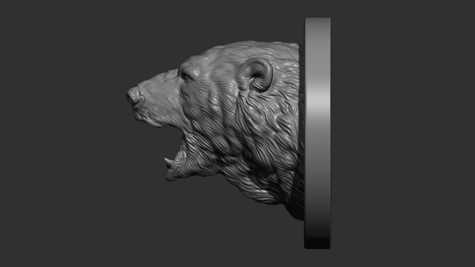 Polar bear growls 3D print model_3