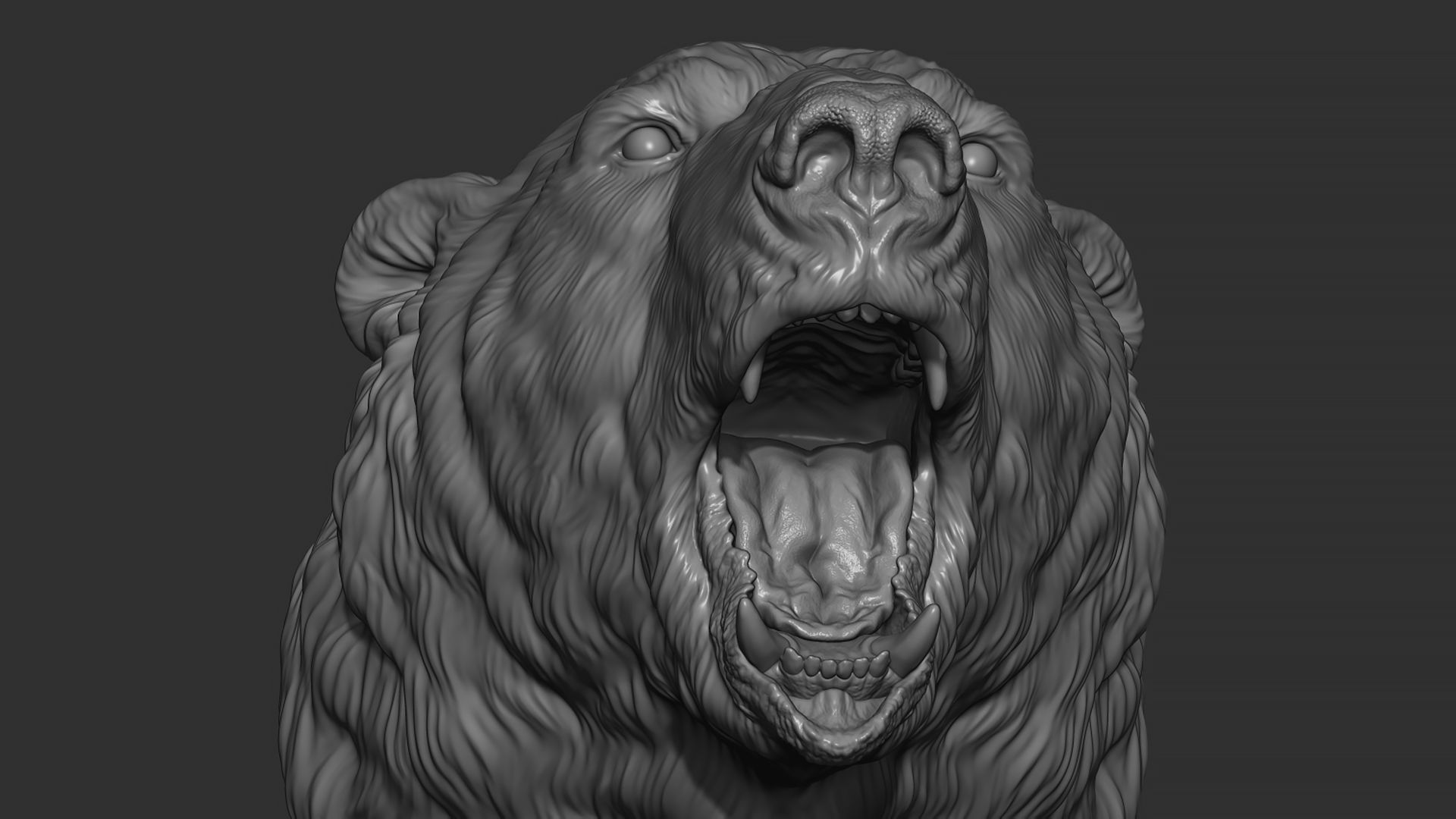 Polar bear growls 3D print model_7