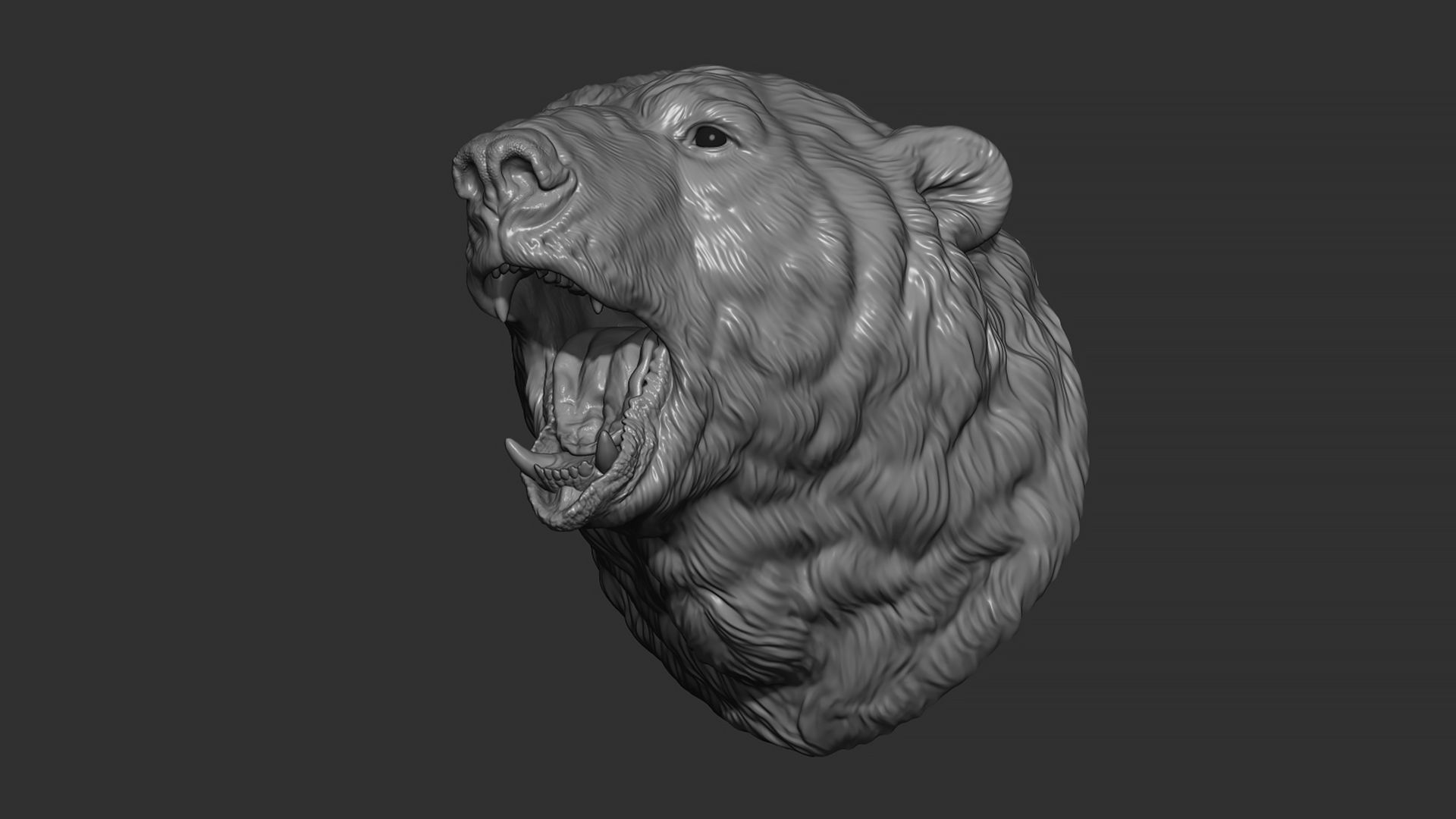Polar bear growls 3D print model_6