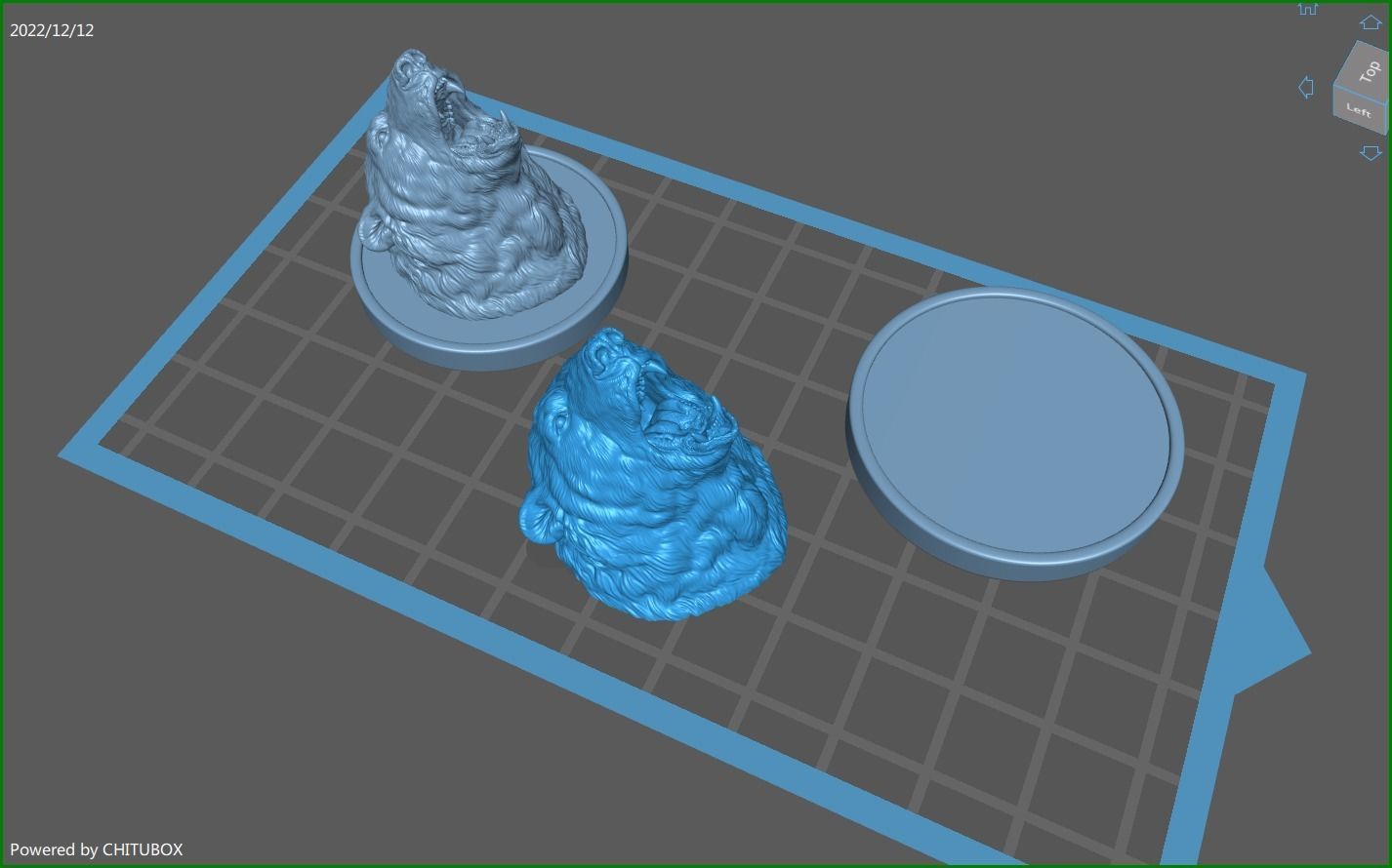 Polar bear growls 3D print model_23