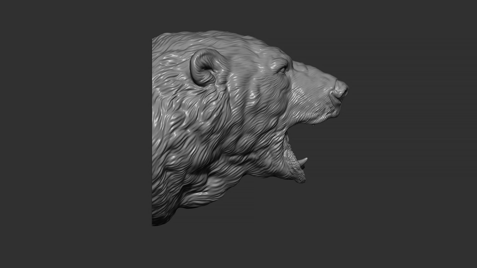 Polar bear growls 3D print model_11