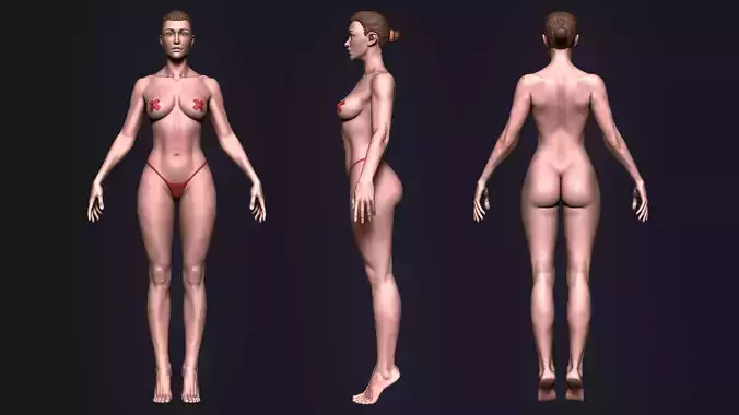 Female Anatomy 3D model
