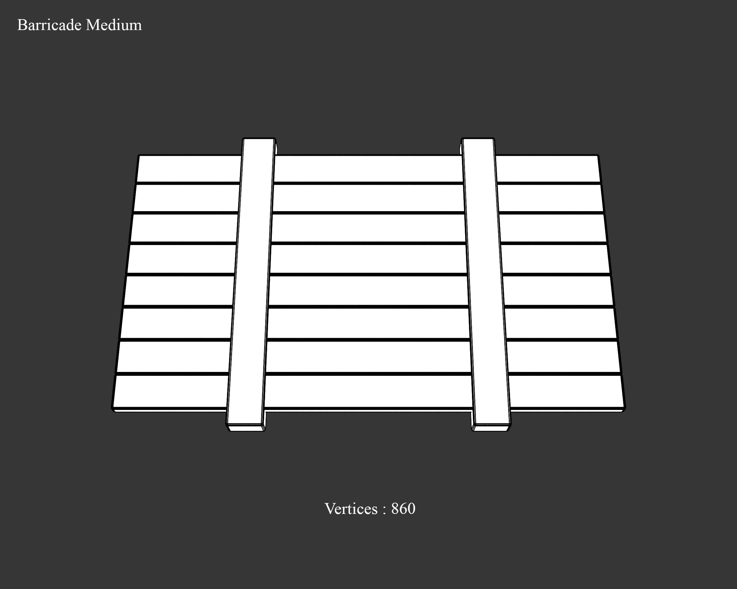 Medieval Collection Elegant Variety Pack _21