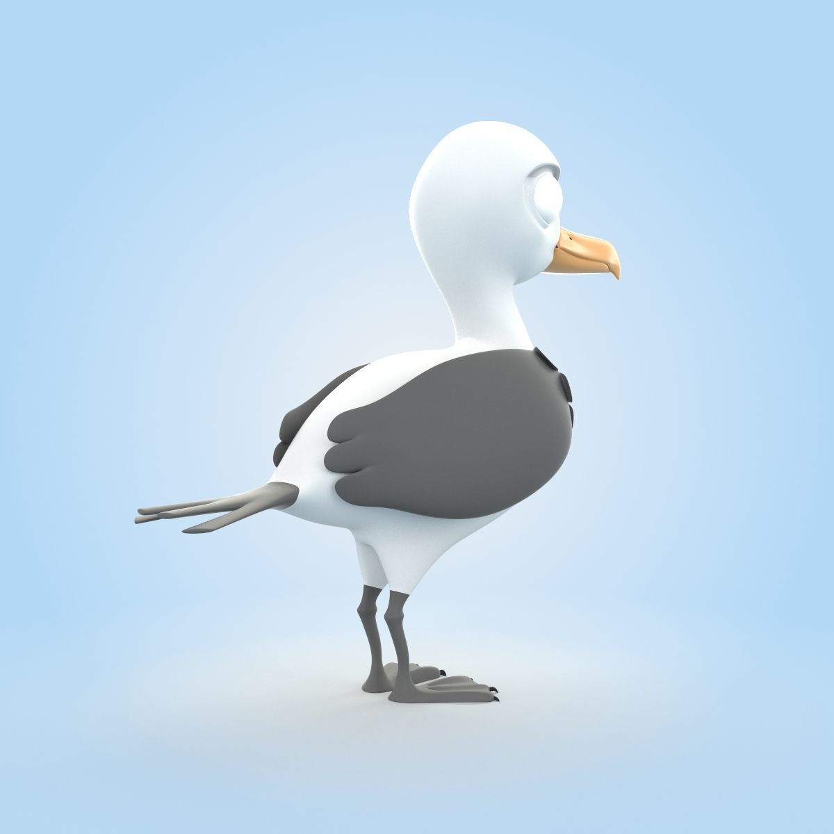 Albatross 3D model_2