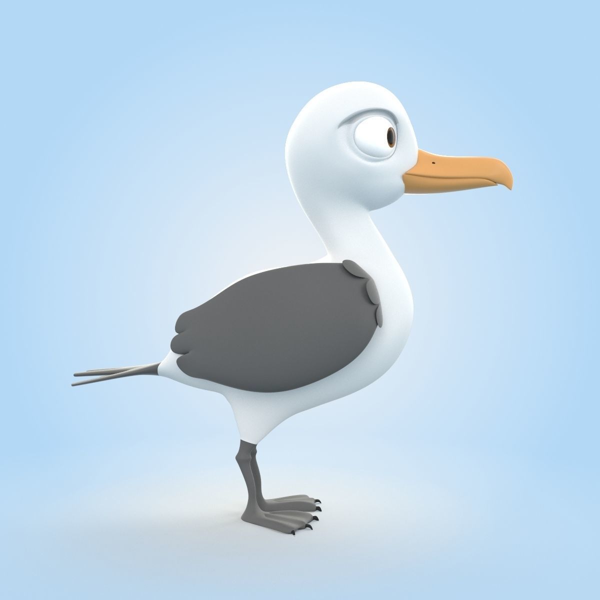 Albatross 3D model_1
