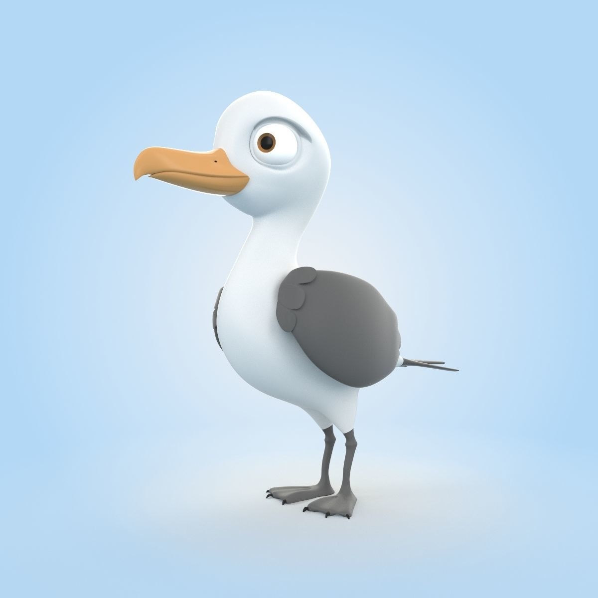 Albatross 3D model_4