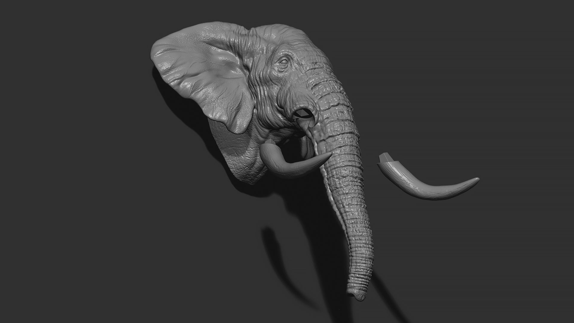 Elephant head with tusks 3D print model_5