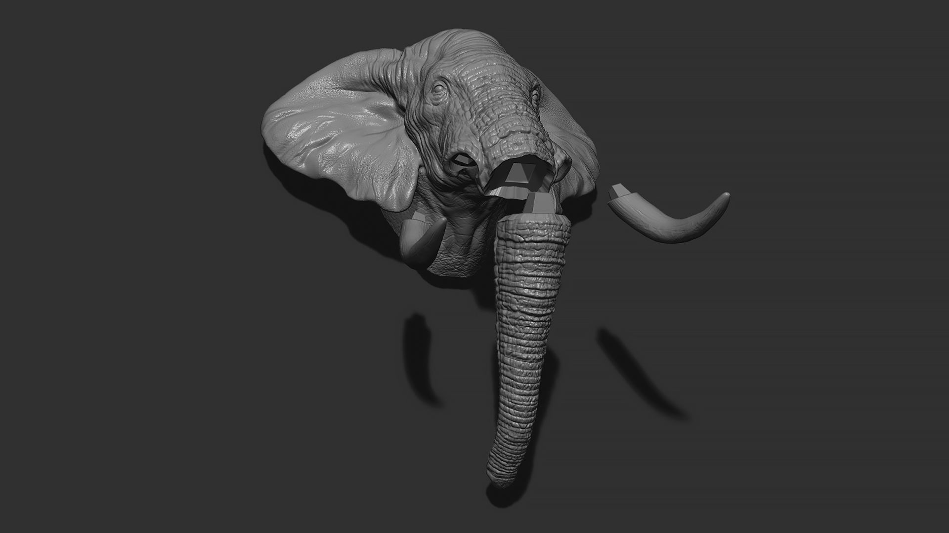 Elephant head with tusks 3D print model_6