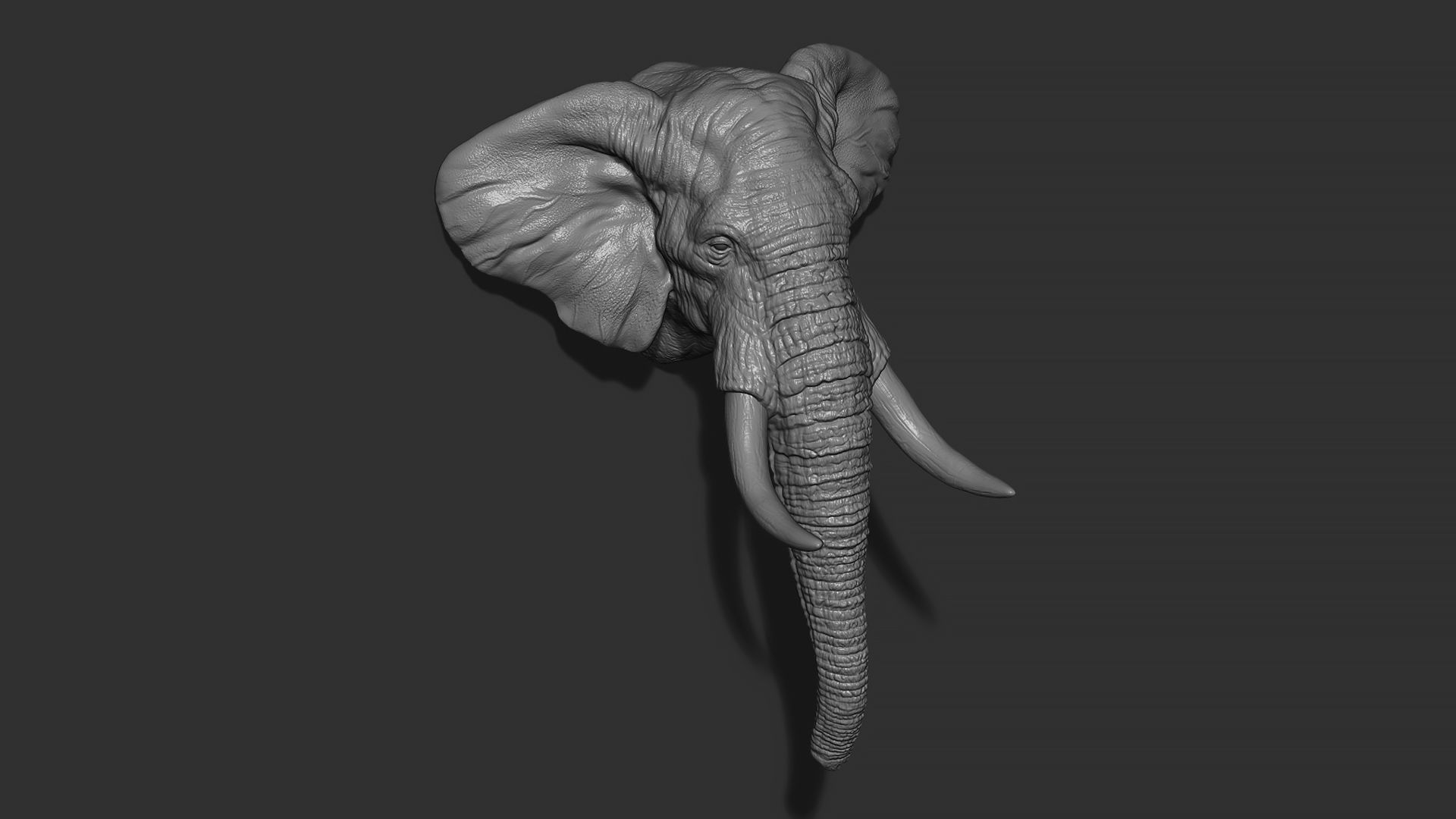 Elephant head with tusks 3D print model_8