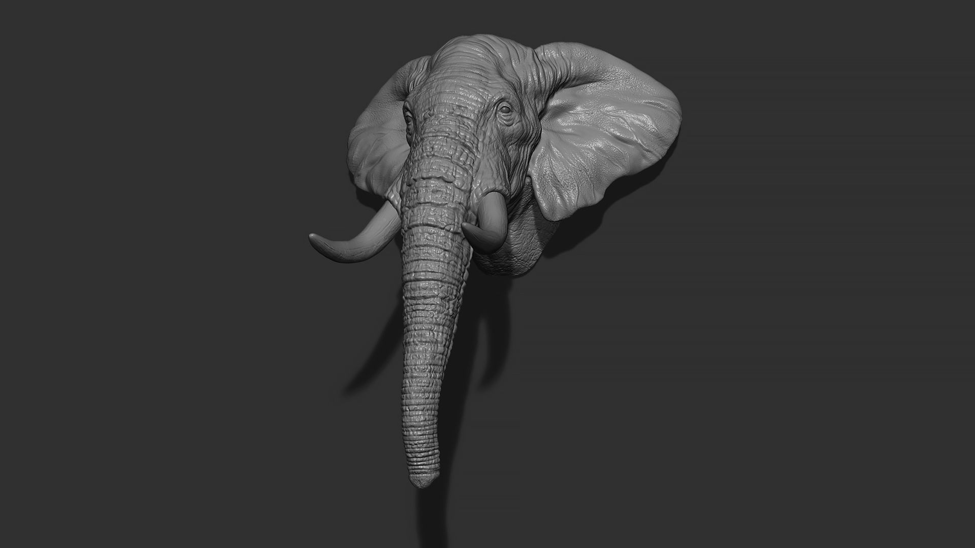 Elephant head with tusks 3D print model_9