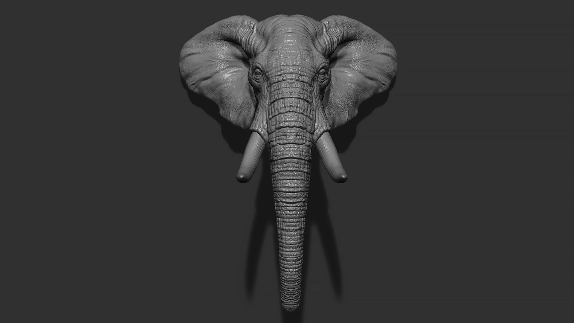 Elephant head with tusks 3D print model_2