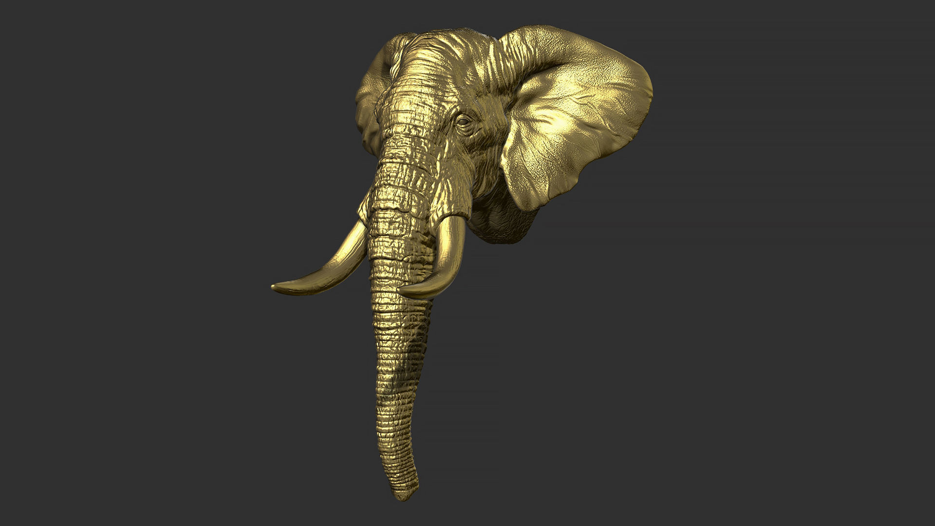 Elephant head with tusks 3D print model_14