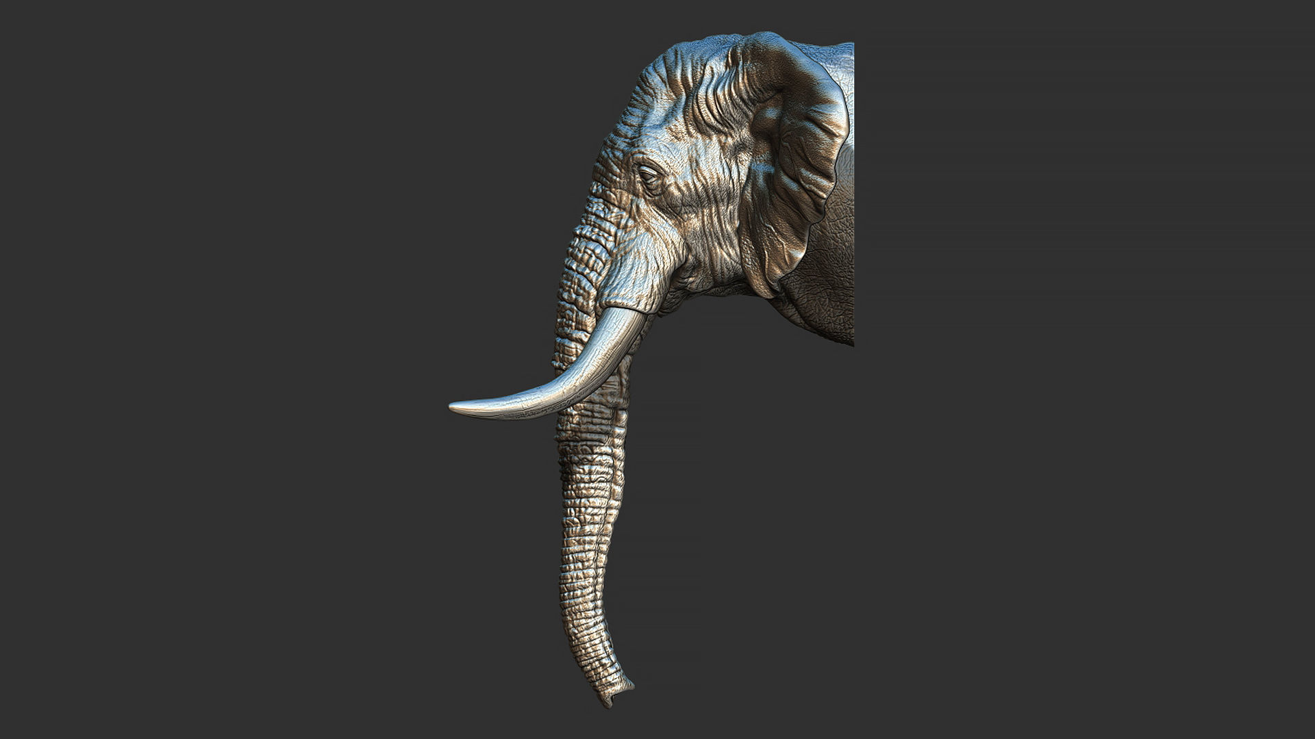 Elephant head with tusks 3D print model_13