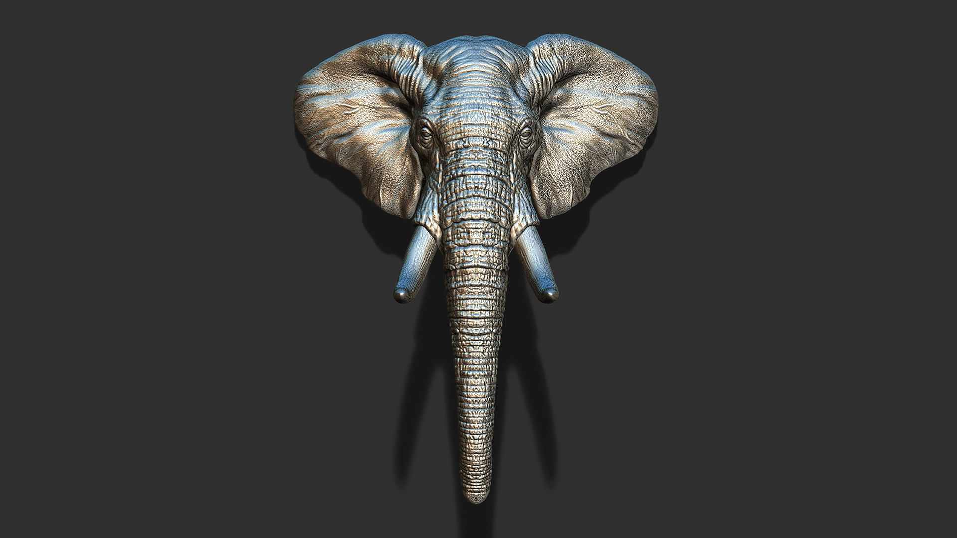 Elephant head with tusks 3D print model_12
