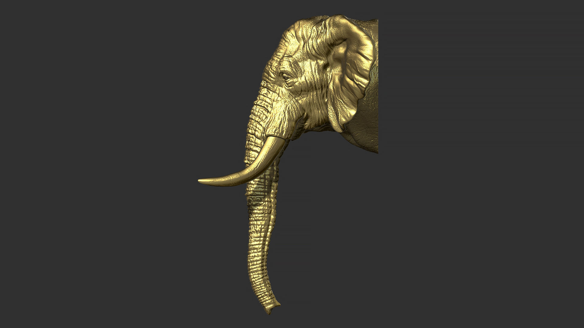 Elephant head with tusks 3D print model_15