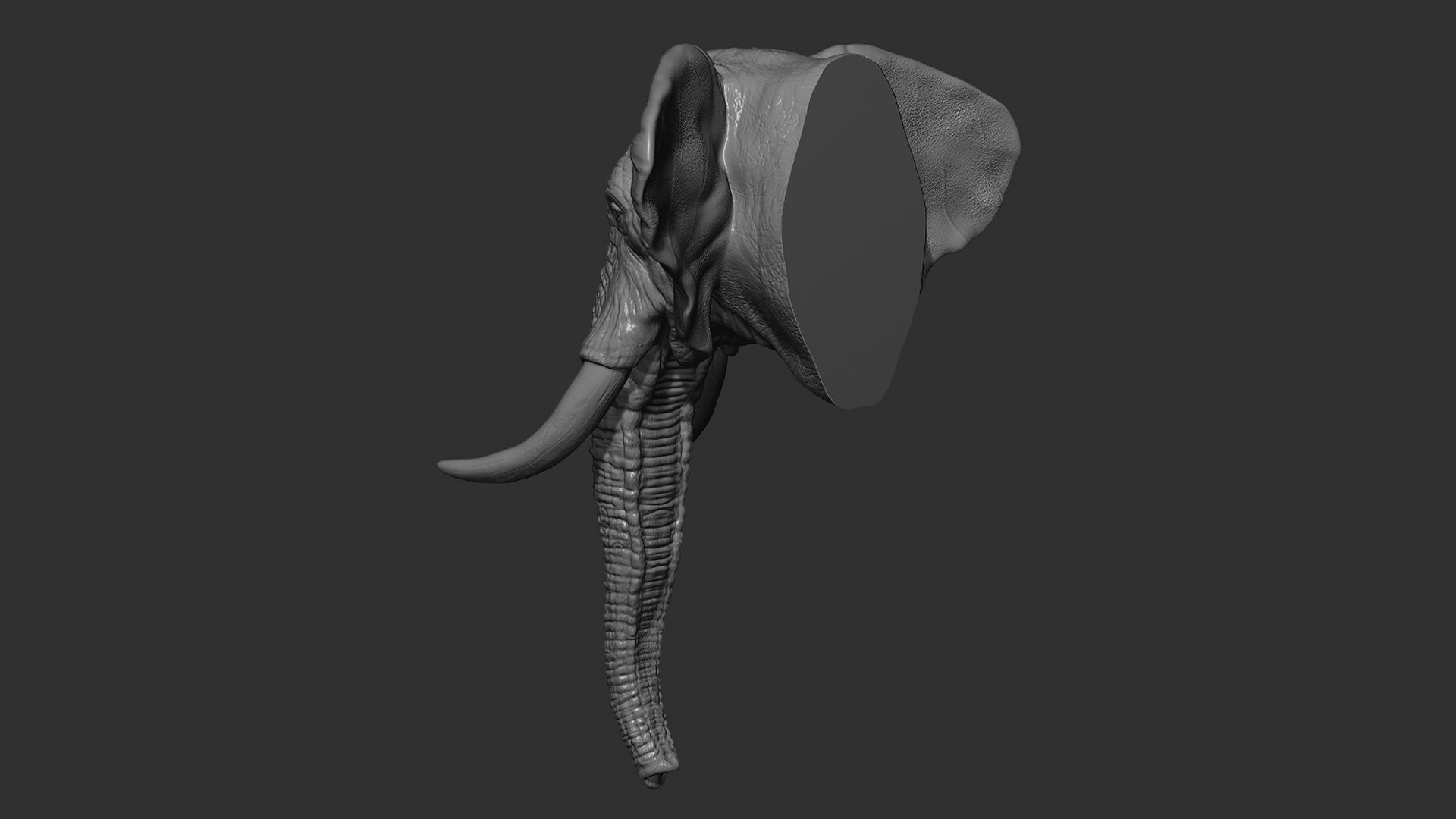 Elephant head with tusks 3D print model_10