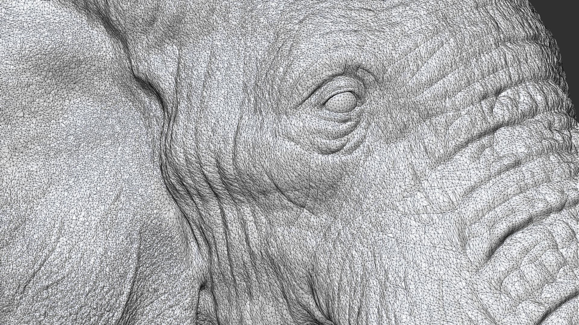 Elephant head with tusks 3D print model_16