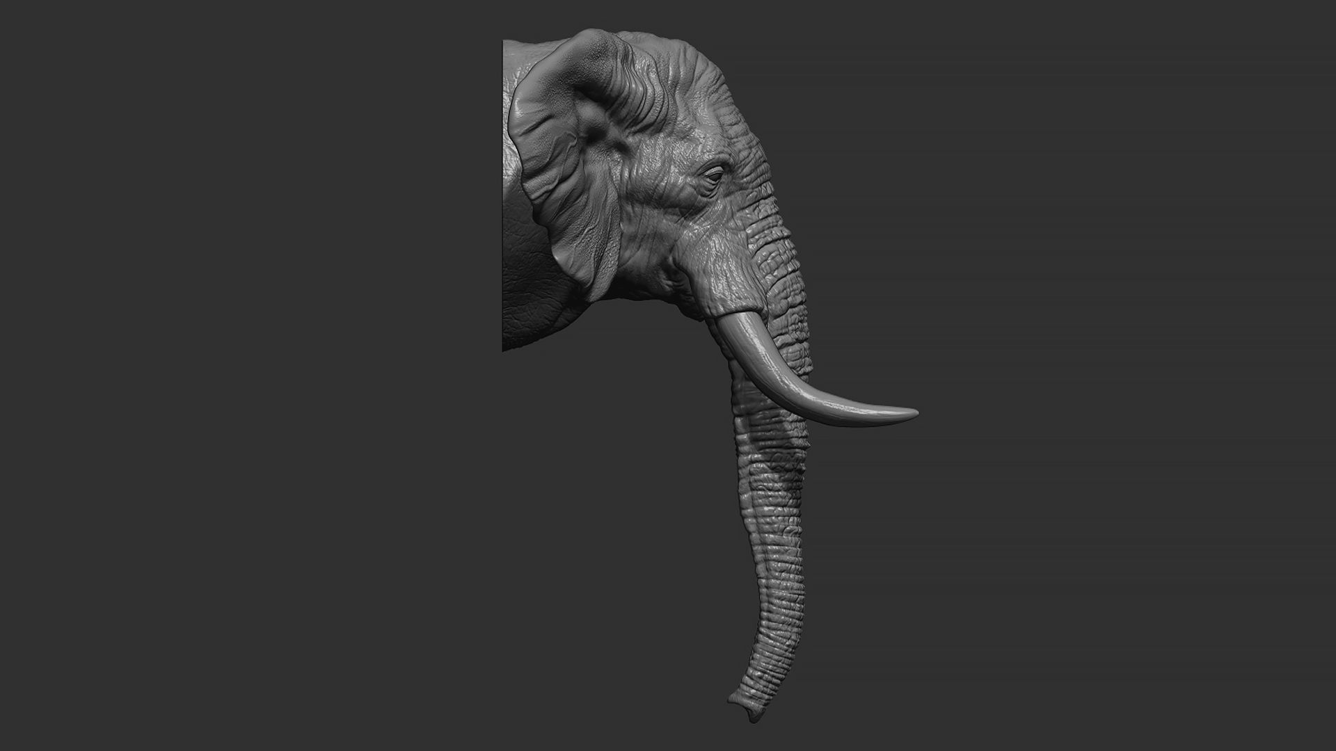 Elephant head with tusks 3D print model_4
