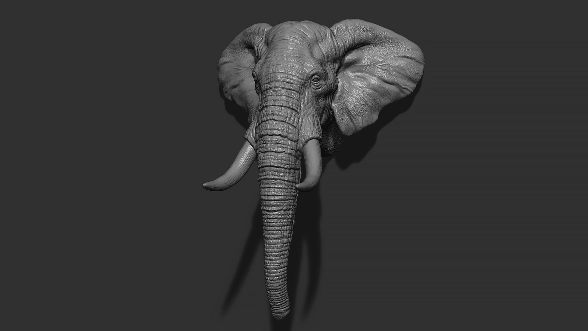 Elephant head with tusks 3D print model_3