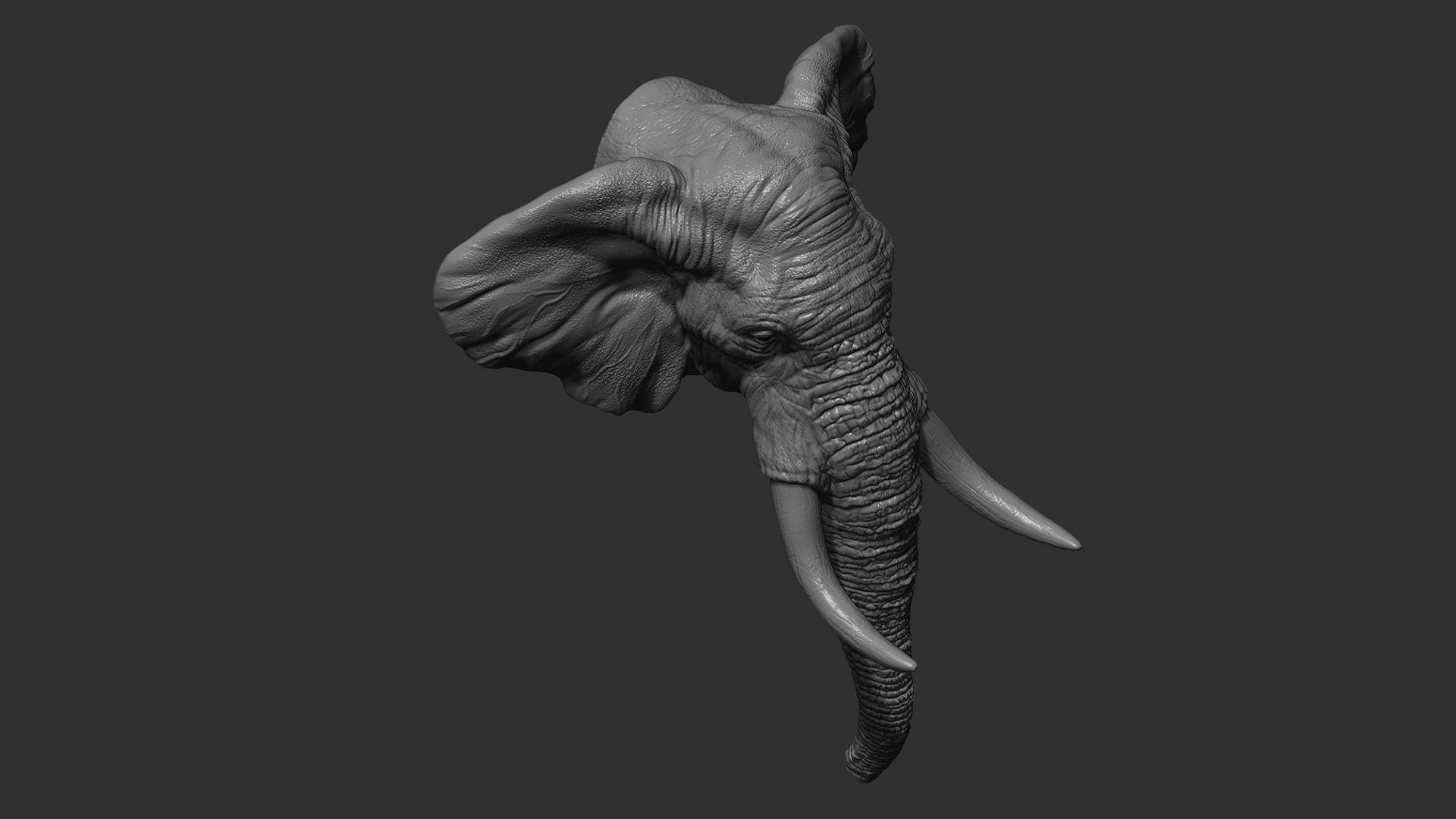 Elephant head with tusks 3D print model_1