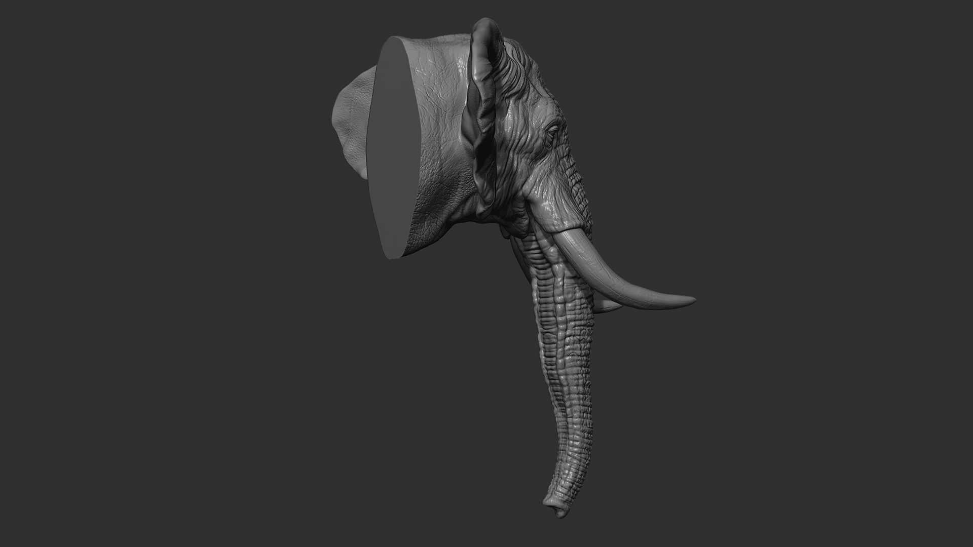 Elephant head with tusks 3D print model_11