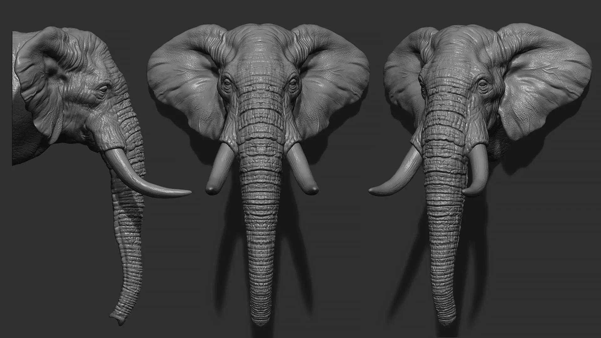 Elephant head with tusks 3D print model_0