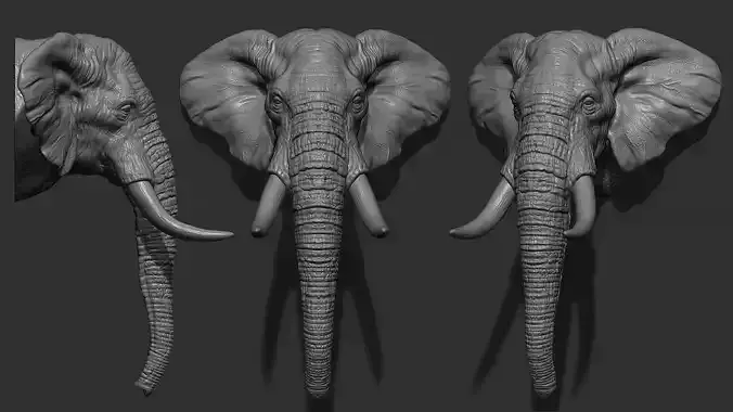 Elephant head with tusks 3D print model
