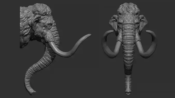 Mammoth head 3D print model