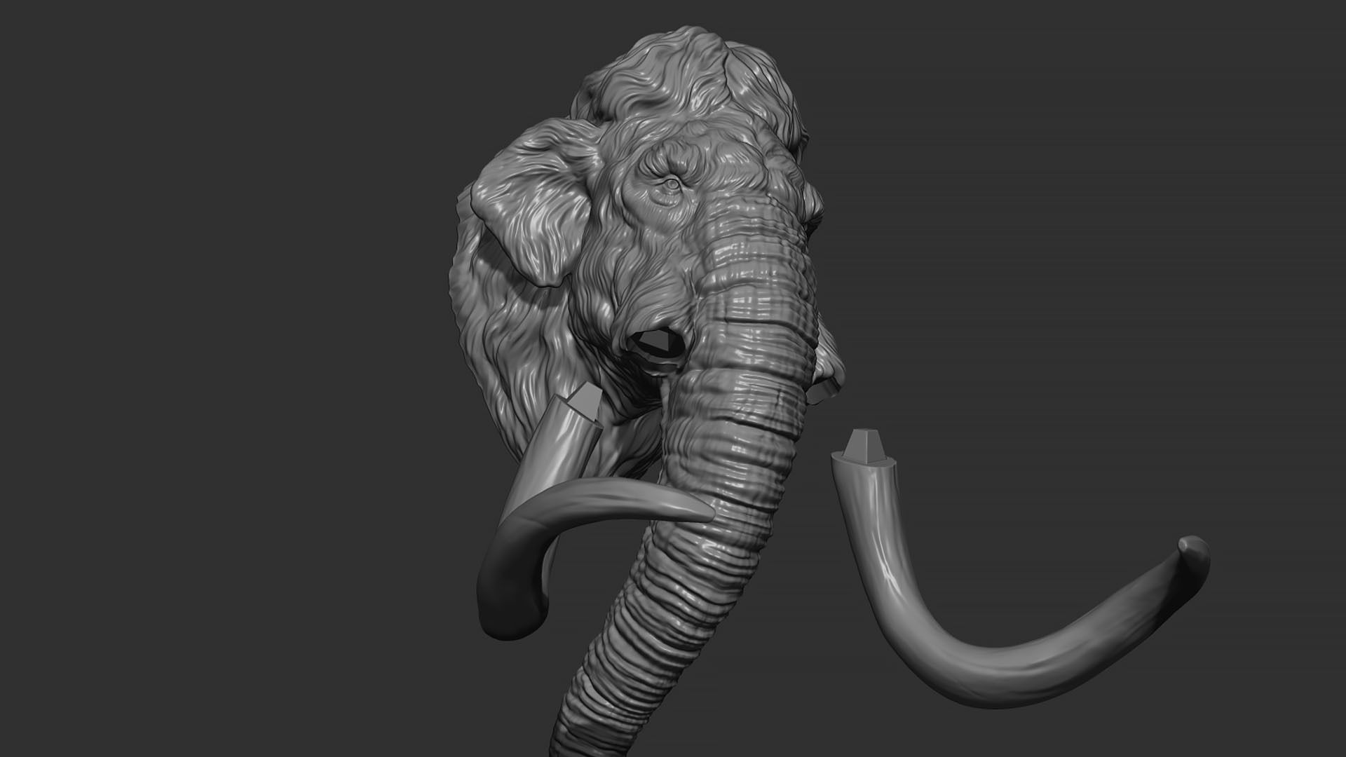 Mammoth head 3D print model_9