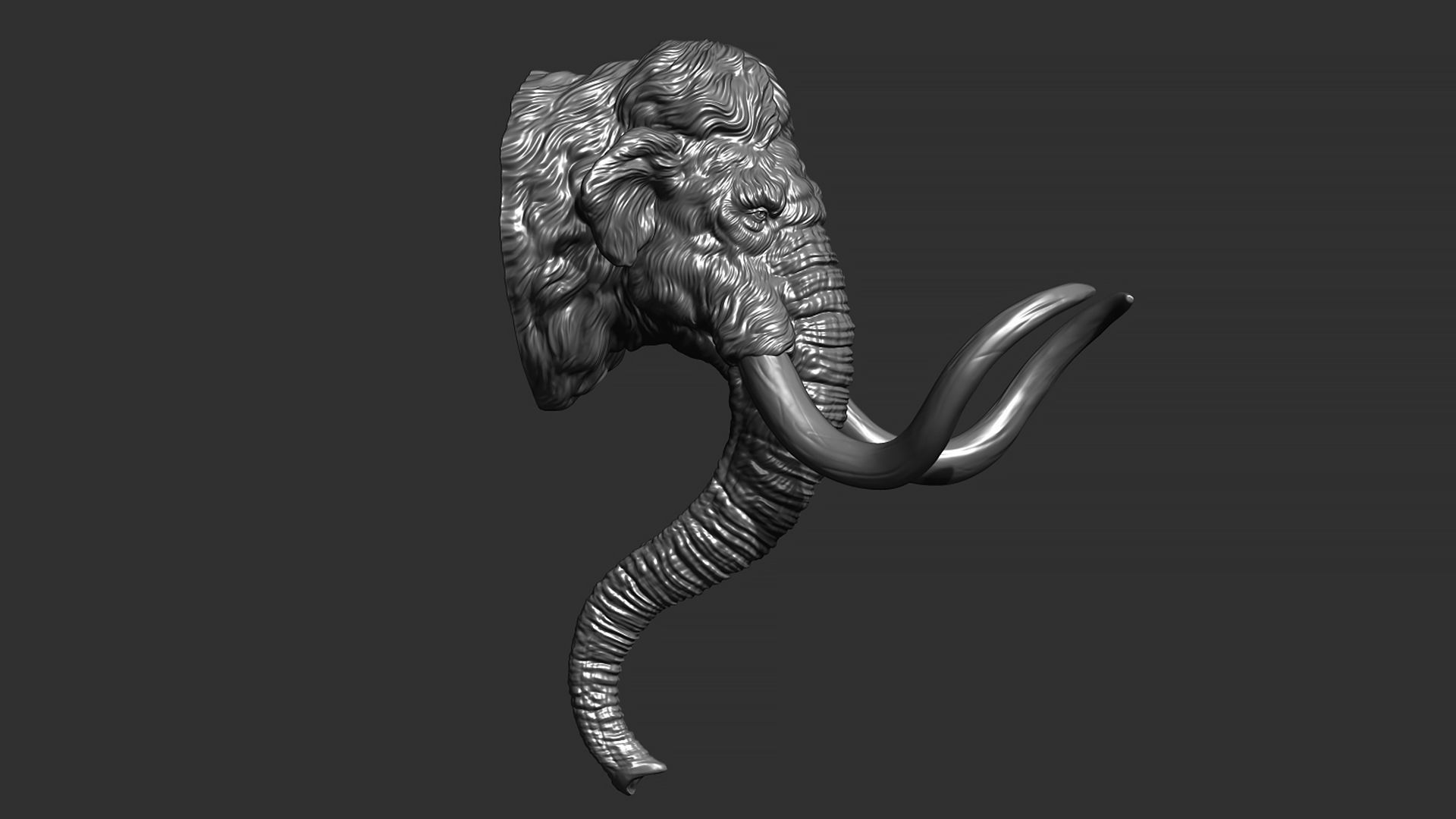 Mammoth head 3D print model_4